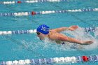 Swimming & Diving vs Babson  Swimming & Diving vs Babson College. - Photo by Keith Nordstrom : Wheaton, Swimming